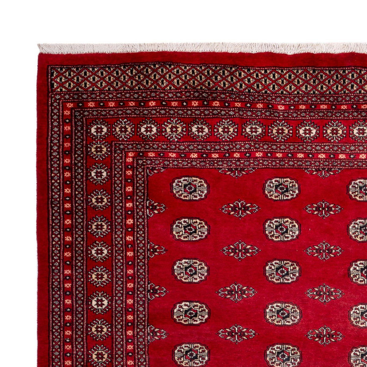 Tapis afghan - Boukhara - 323 x 248 cm - rouge