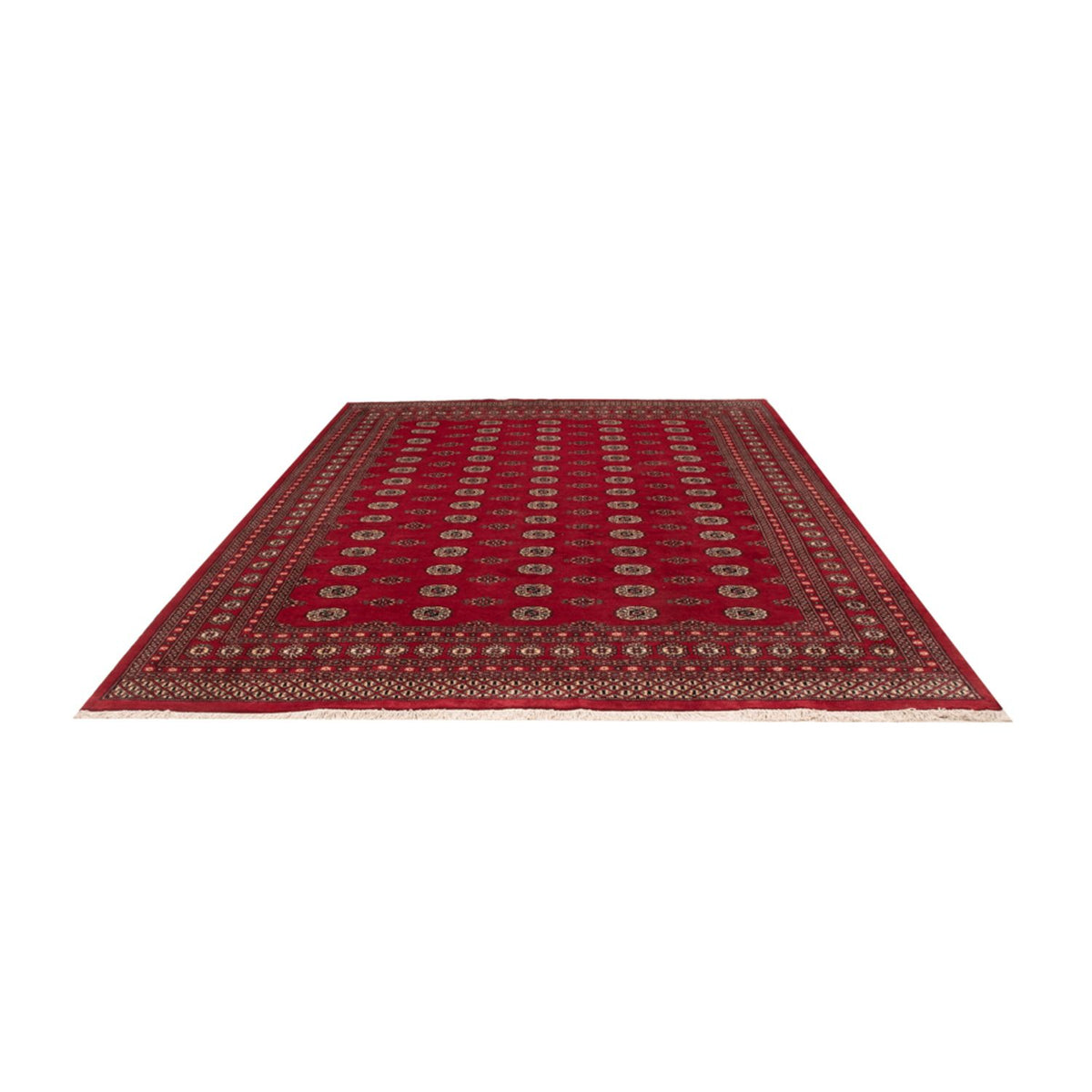 Tapis afghan - Boukhara - 323 x 248 cm - rouge
