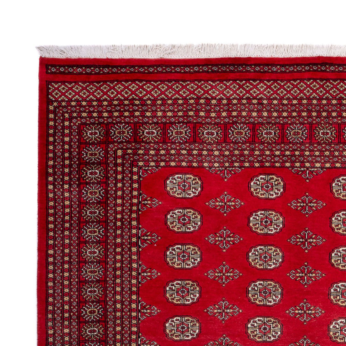 Tapis afghan - Boukhara - 321 x 247 cm - rouge
