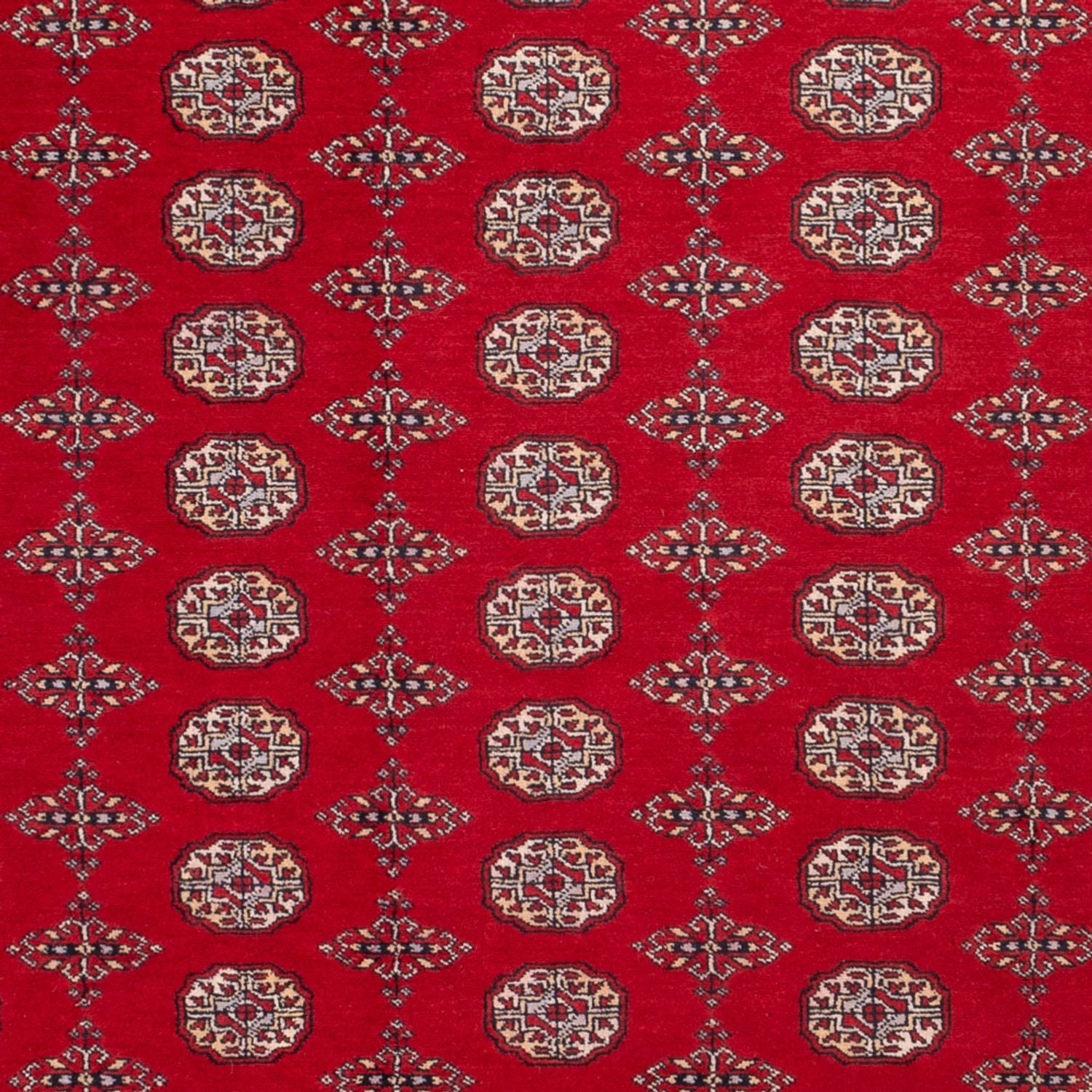 Afghan Teppich - Buchara - 318 x 247 cm - rot