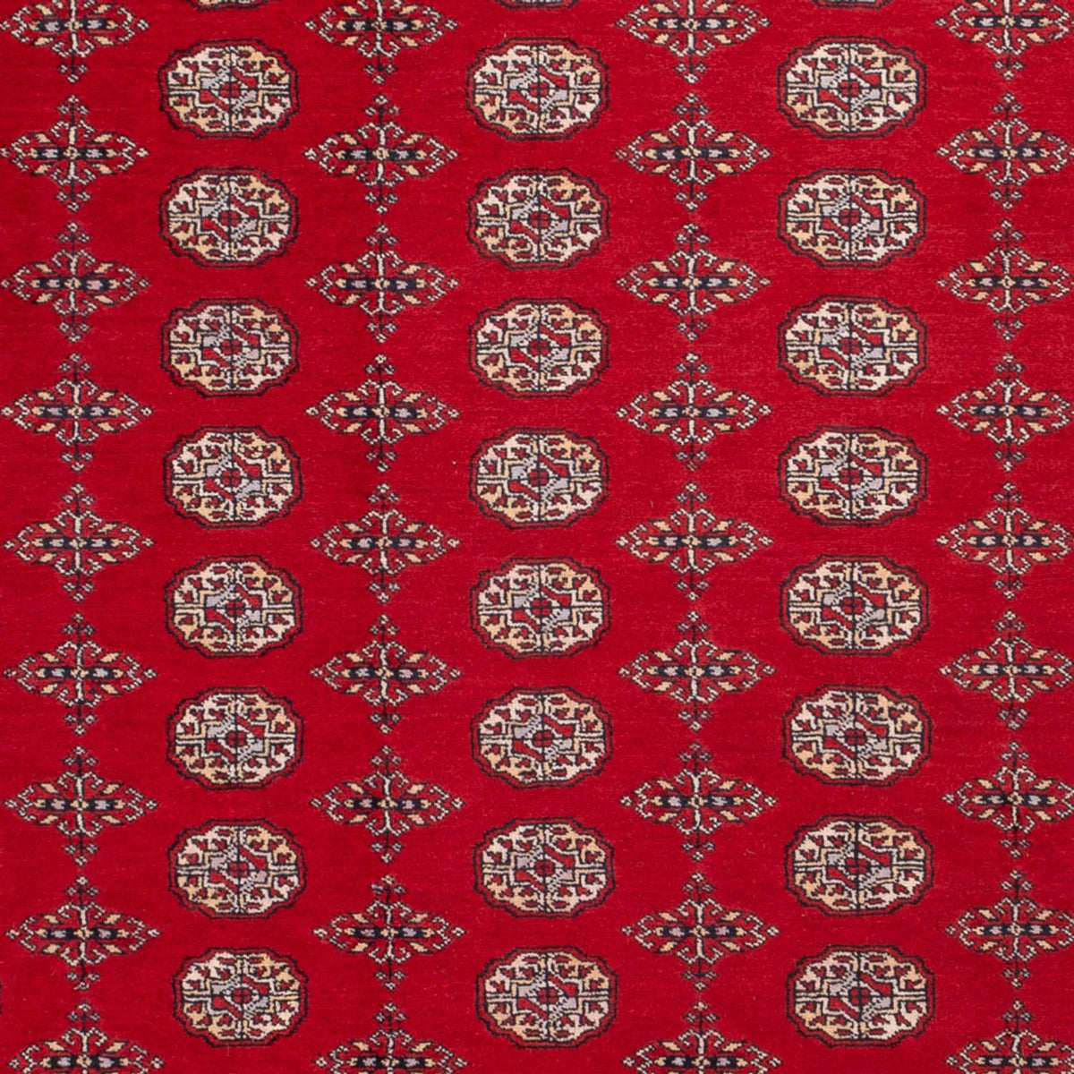 Tapis afghan - Boukhara - 318 x 247 cm - rouge