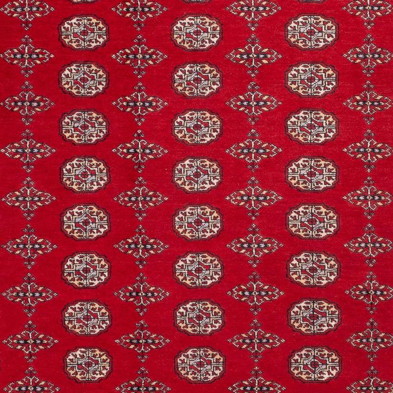 Afghan Teppich - Buchara - 318 x 247 cm - rot