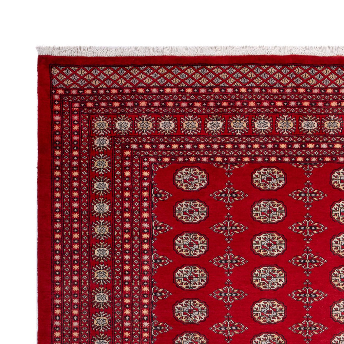 Tapis afghan - Boukhara - 318 x 247 cm - rouge