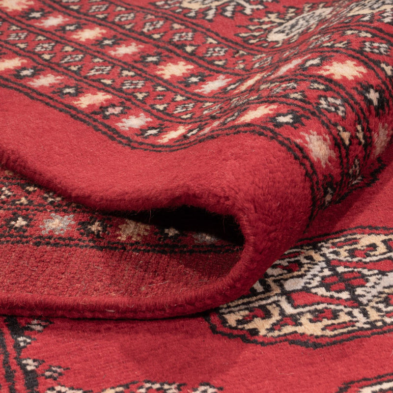 Afghan Teppich - Buchara - 318 x 247 cm - rot