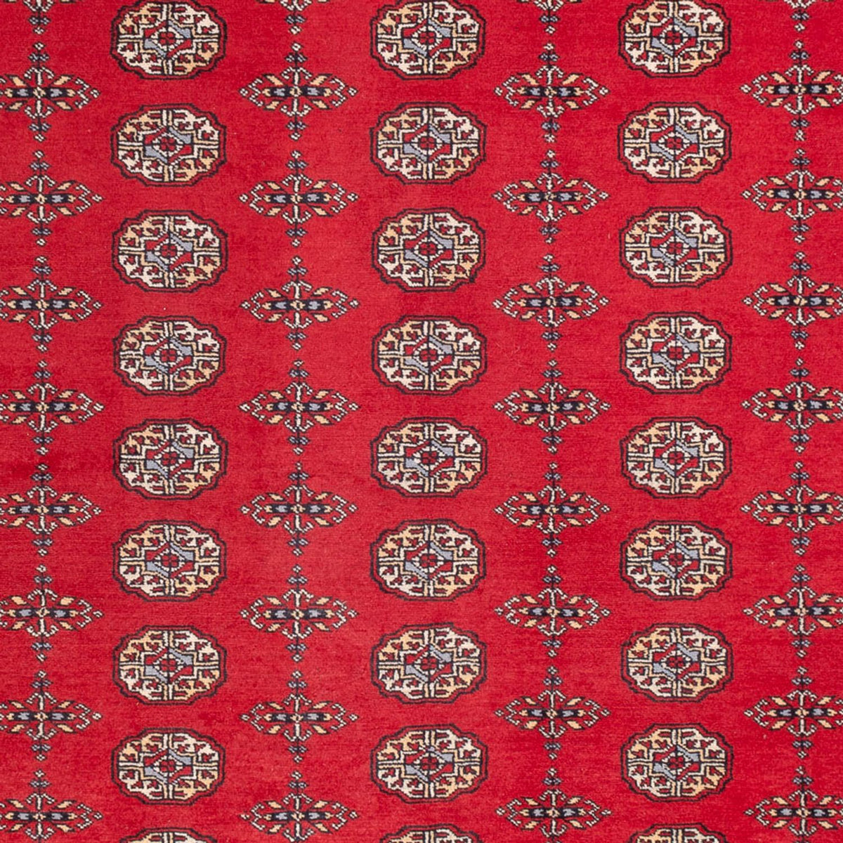 Tapis afghan - Boukhara - 310 x 250 cm - rouge