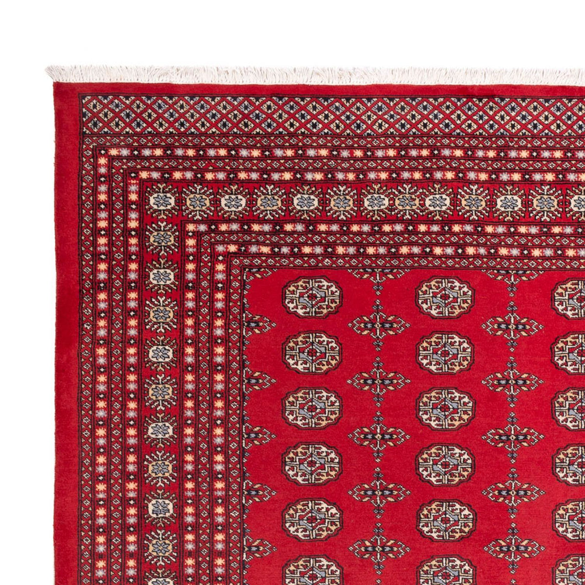 Tapis afghan - Boukhara - 310 x 250 cm - rouge