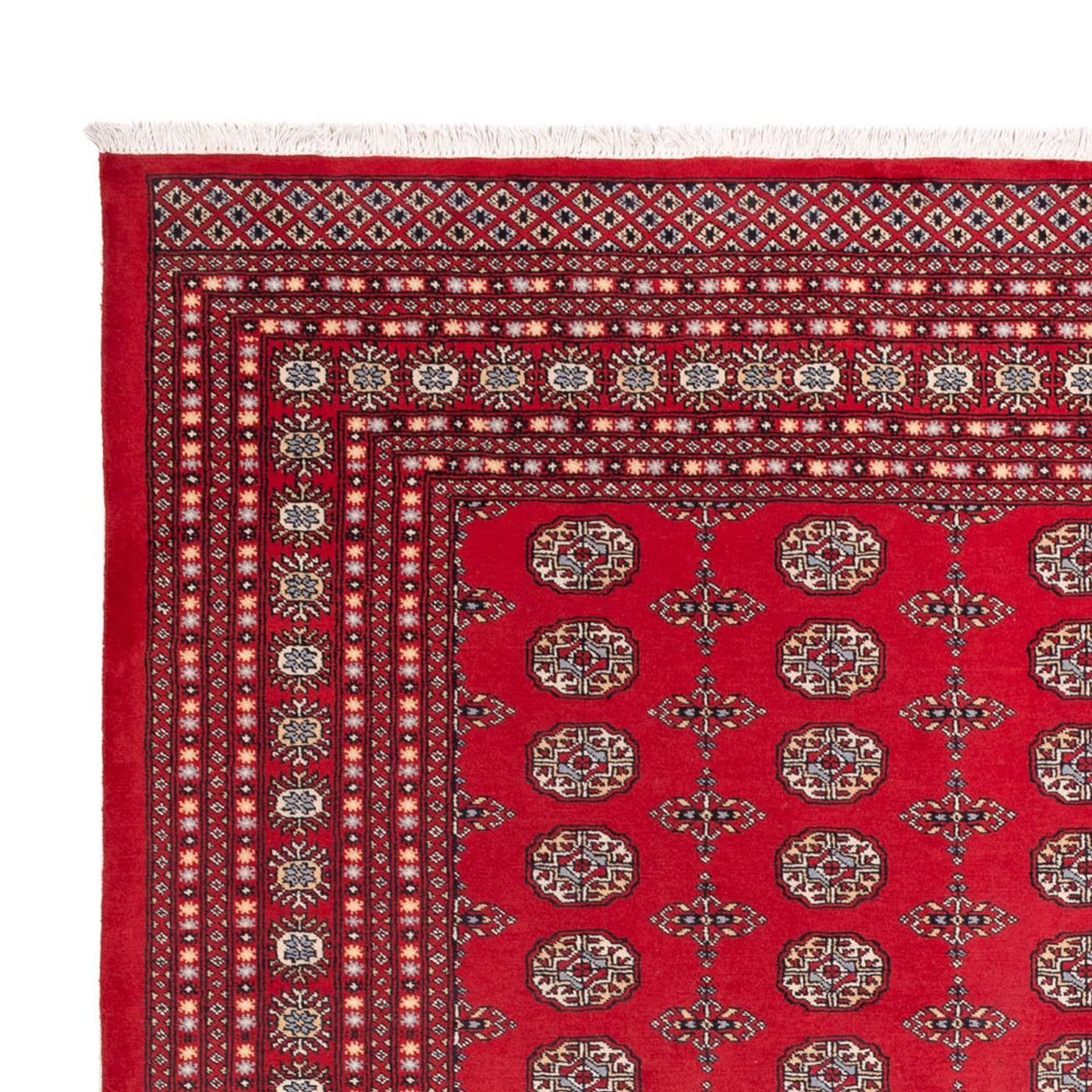 Tapis de Boukhara Tapis 310x250cm - Tapis oriental
