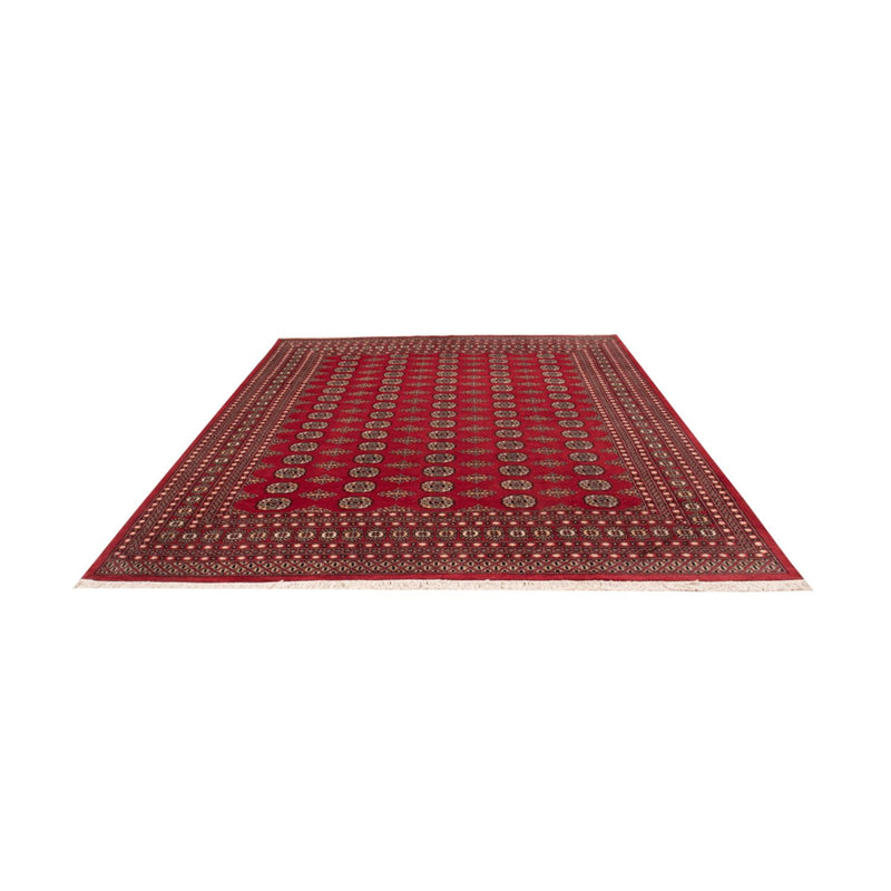 Afghan Teppich - Buchara - 315 x 248 cm - rot