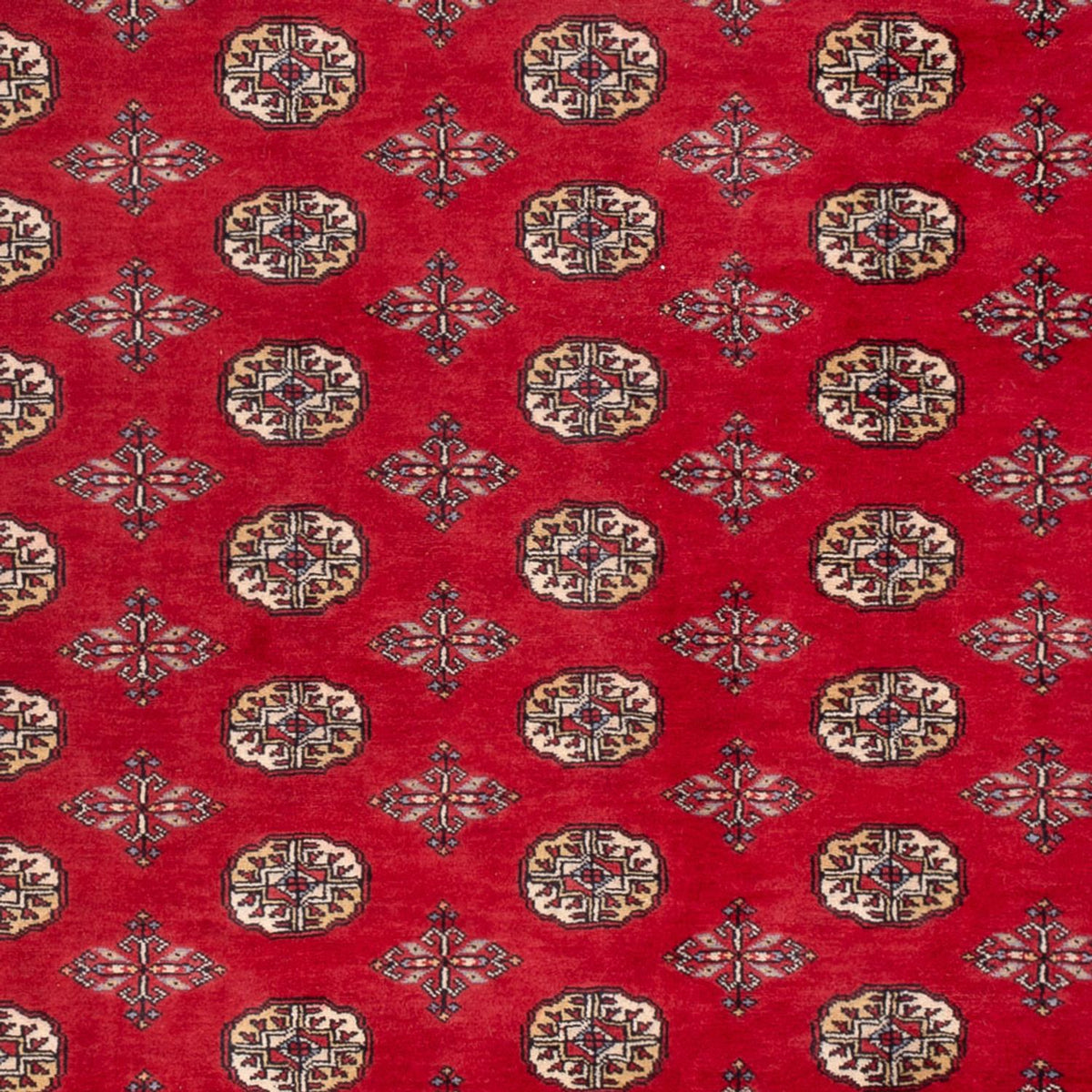 Tapis afghan - Boukhara - 298 x 198 cm - rouge