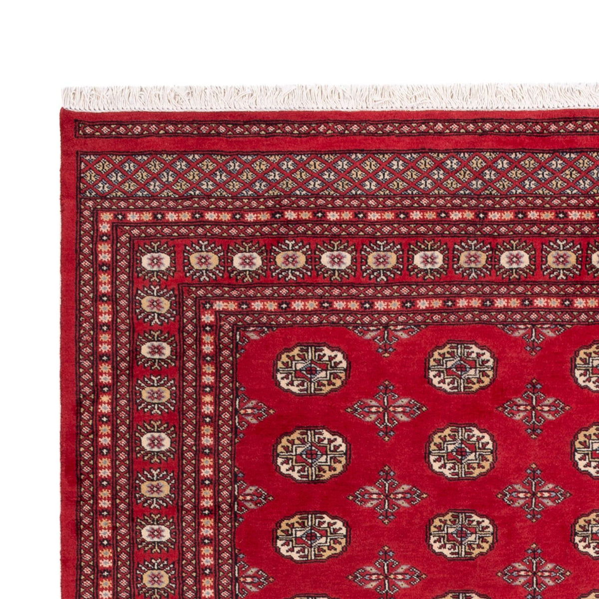 Tapis afghan - Boukhara - 298 x 198 cm - rouge