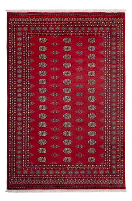 Tapis afghan - Boukhara - 302 x 202 cm - rouge