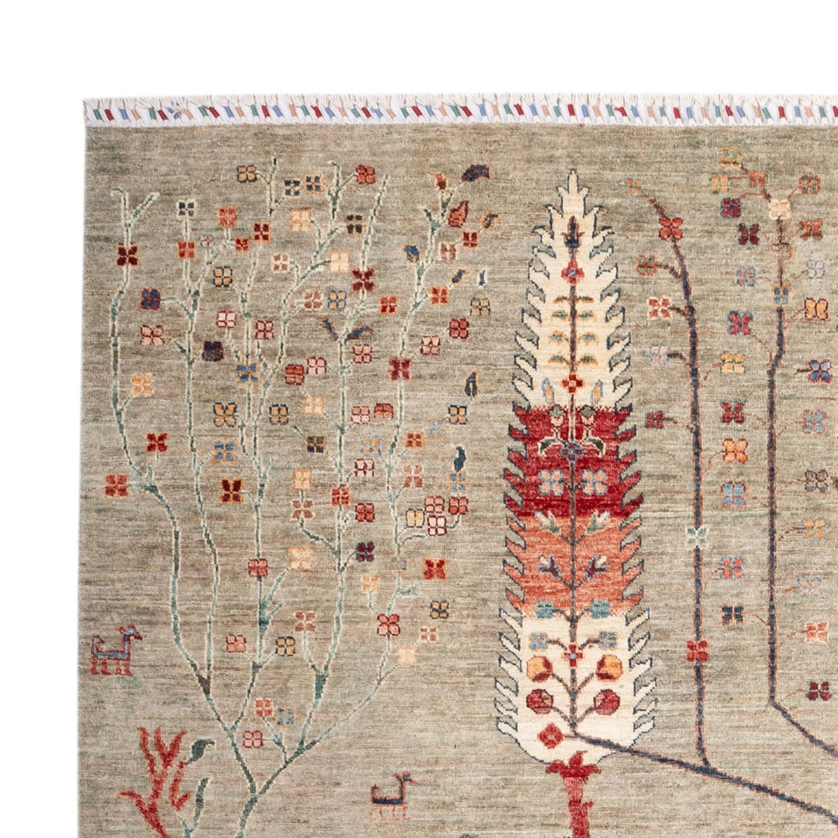 Tapis Ziegler - Ariana - 301 x 205 cm - sable