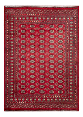 Tapis afghan - Boukhara - 297 x 220 cm - rouge