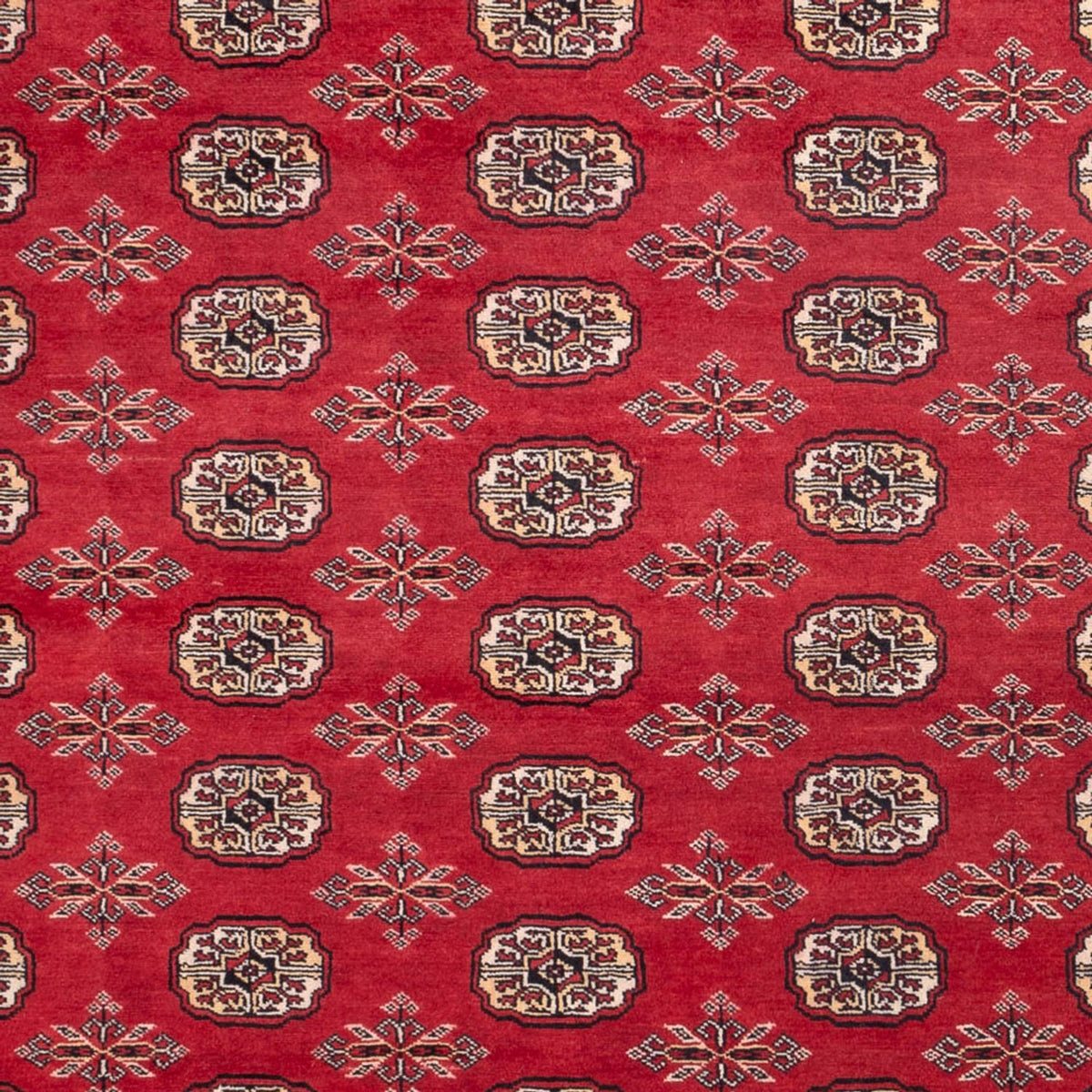 Tapis afghan - Boukhara - 297 x 220 cm - rouge