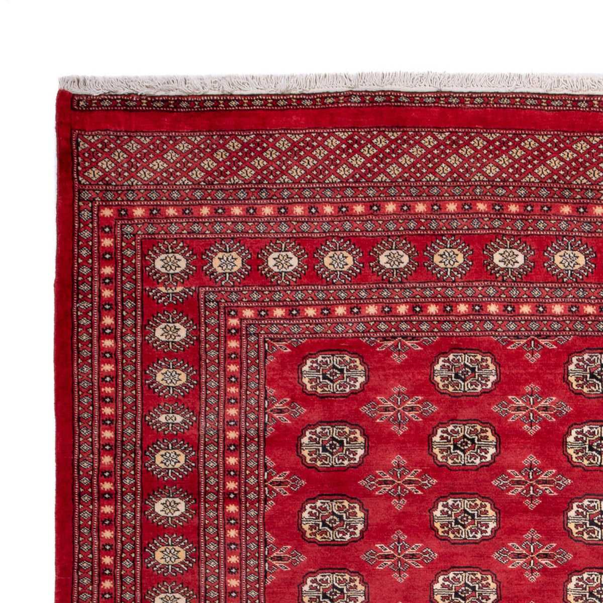Tapis afghan - Boukhara - 297 x 220 cm - rouge