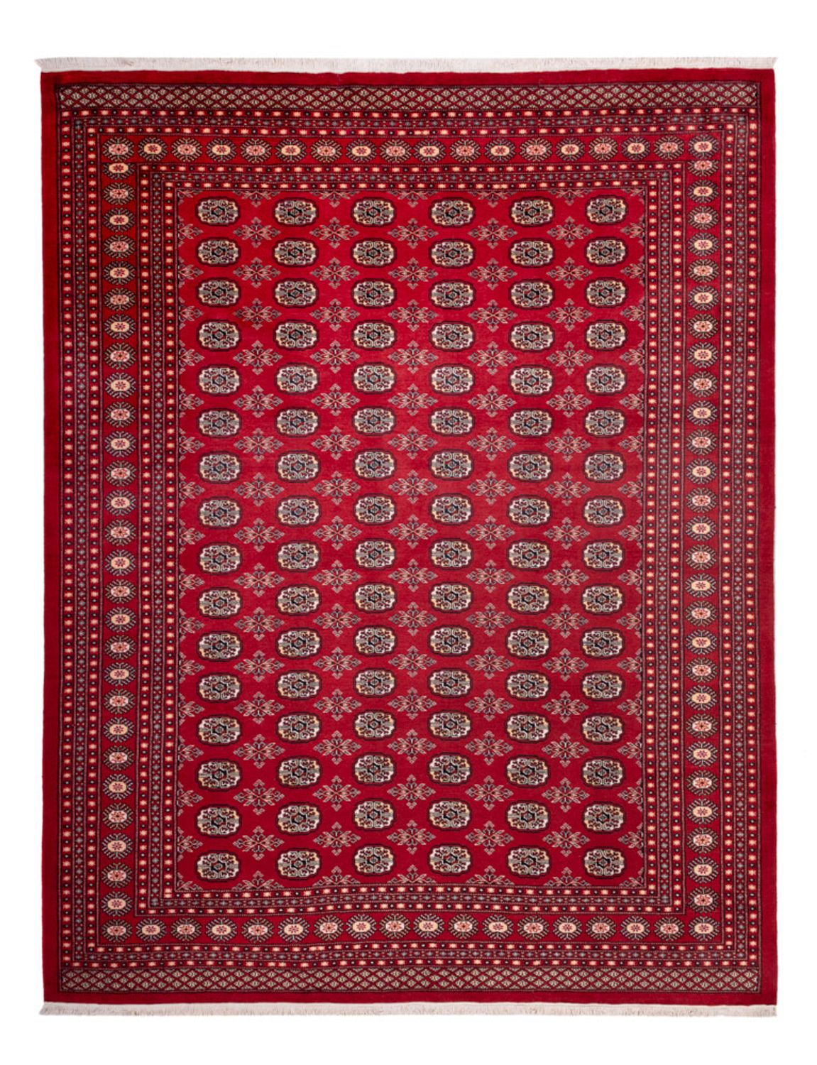 Tapis afghan - Boukhara - 322 x 248 cm - rouge