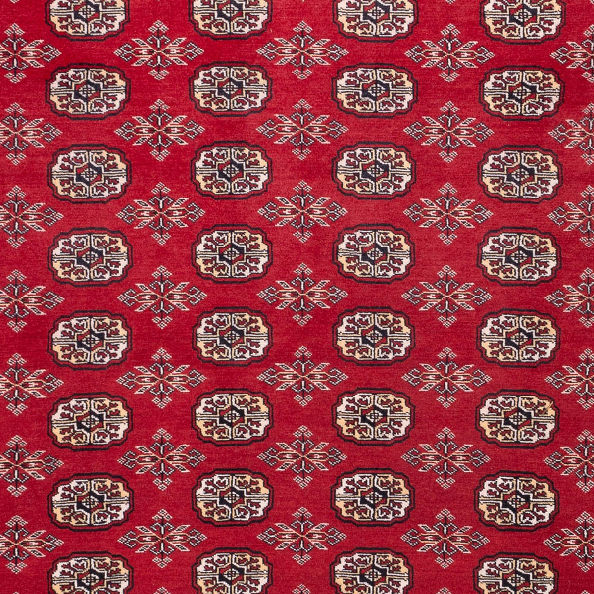 Tapis afghan - Boukhara - 322 x 248 cm - rouge