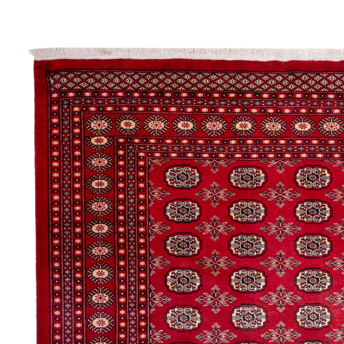 Tapis afghan - Boukhara - 322 x 248 cm - rouge