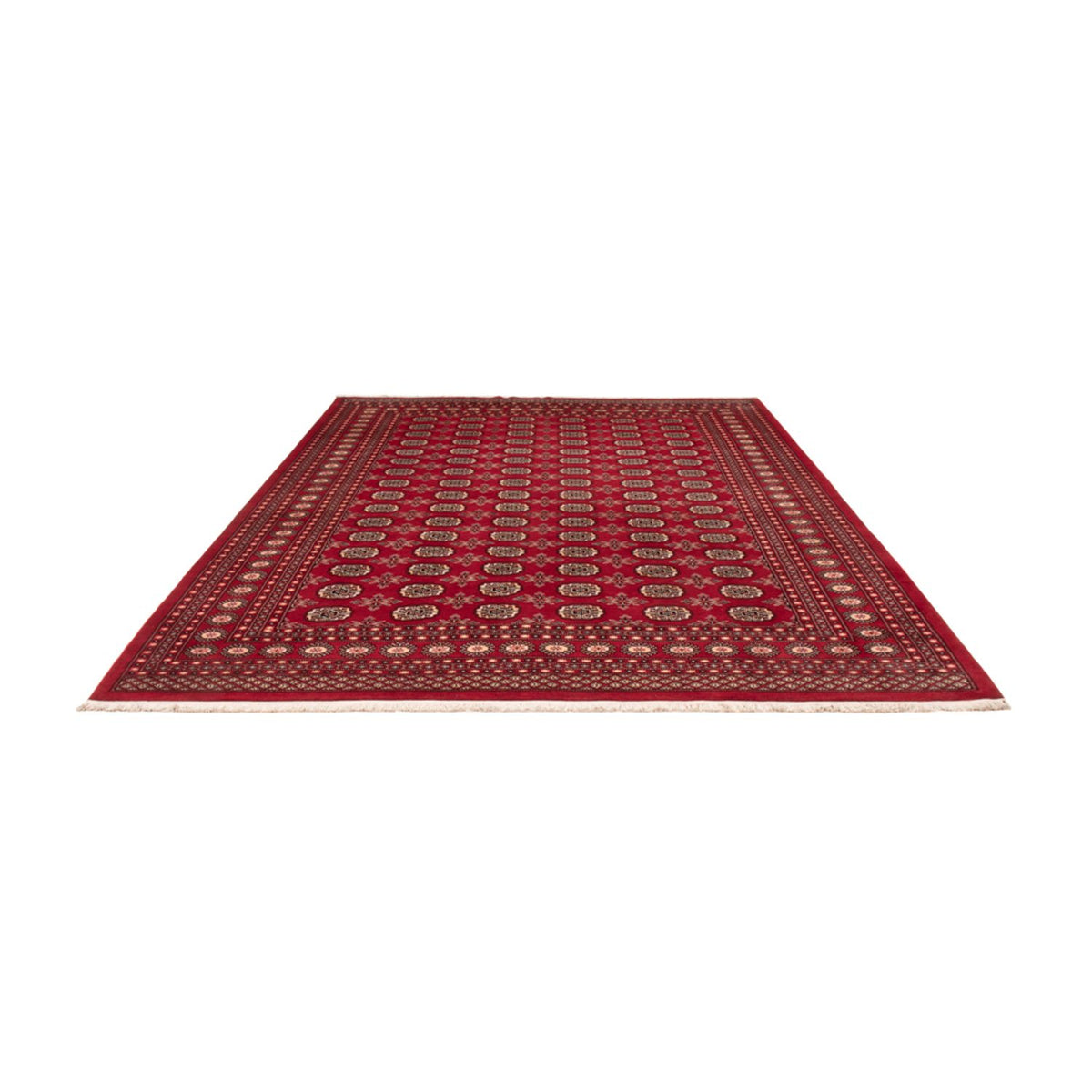 Tapis afghan - Boukhara - 322 x 248 cm - rouge