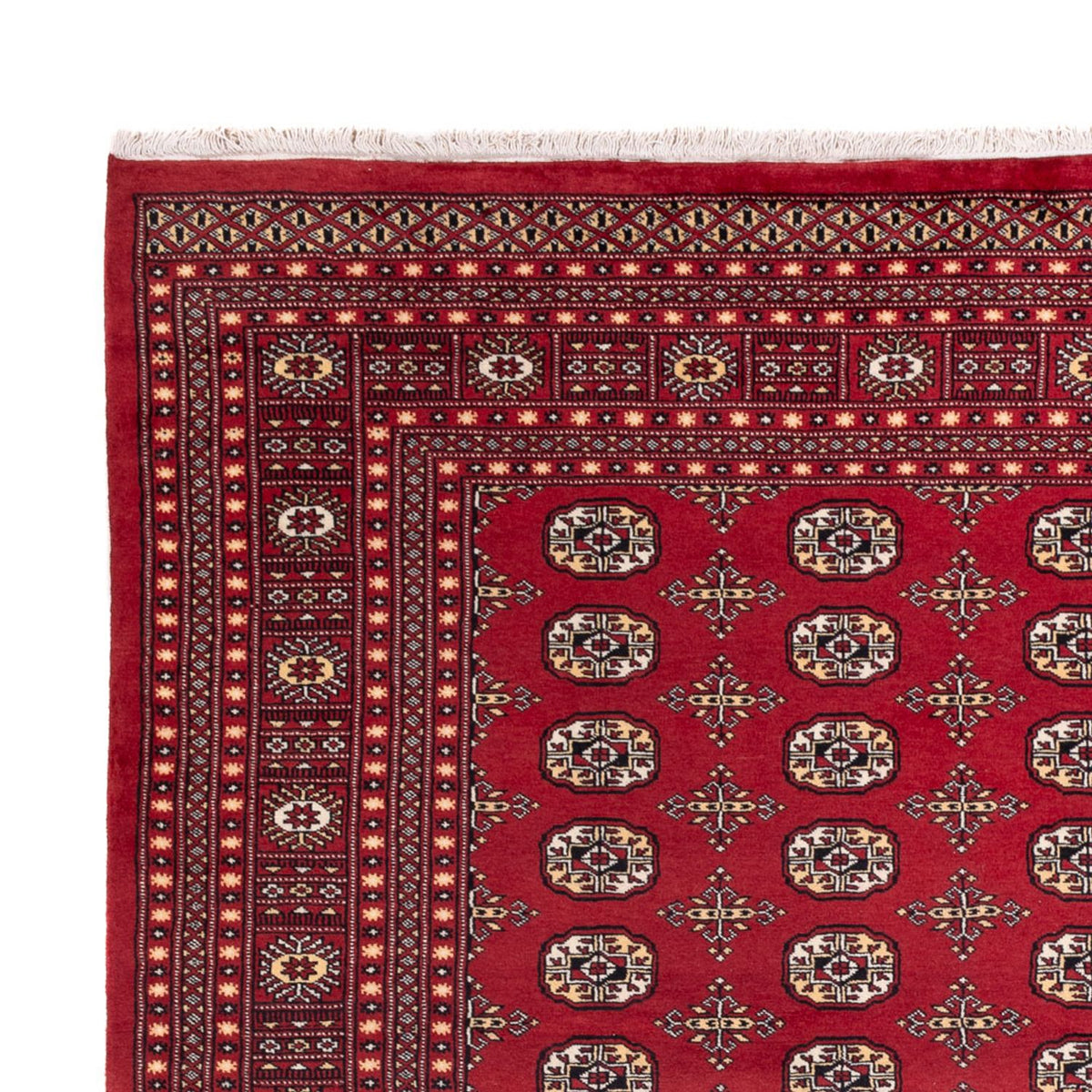 Tapis afghan - Boukhara - 312 x 245 cm - rouge