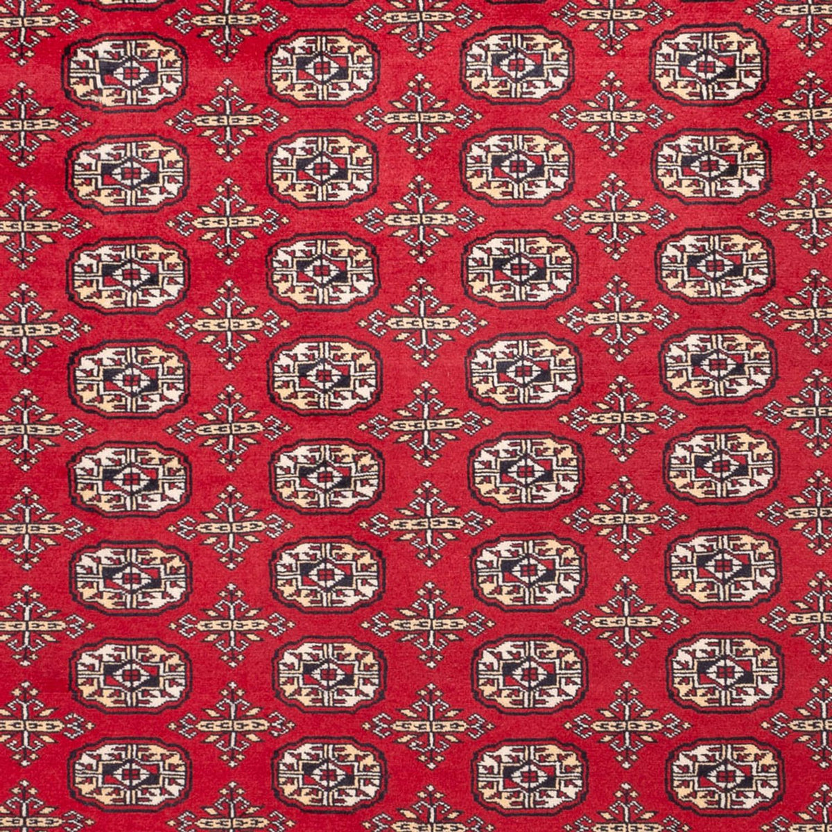 Tapis afghan - Boukhara - 311 x 243 cm - rouge