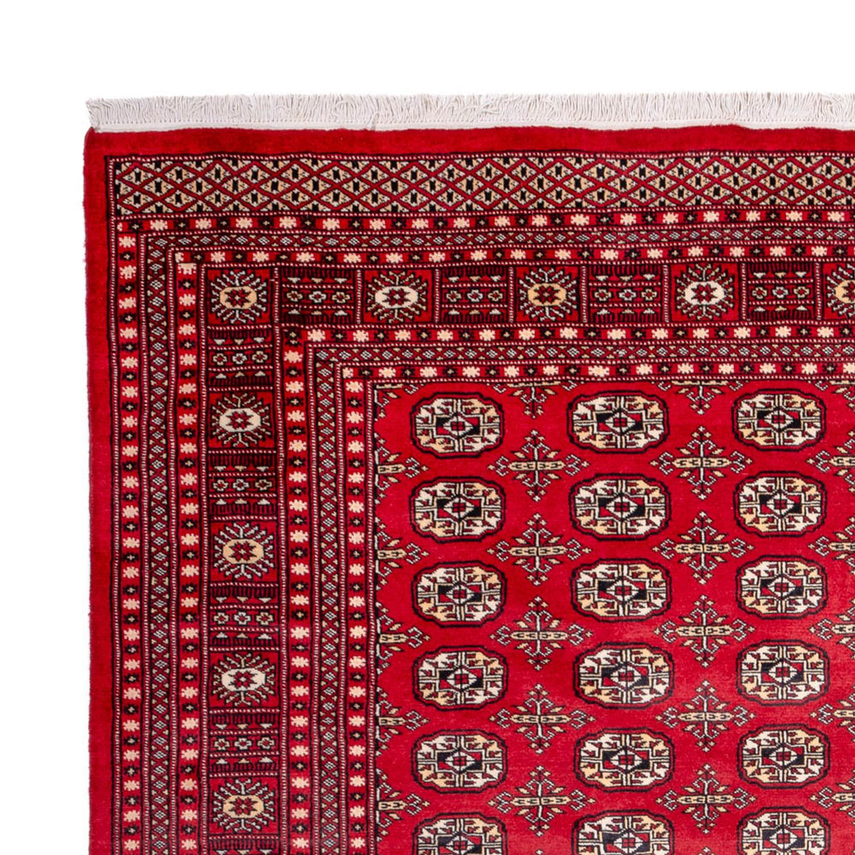 Tapis afghan - Boukhara - 311 x 243 cm - rouge
