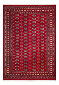 Tapis afghan - Boukhara - 297 x 213 cm - rouge