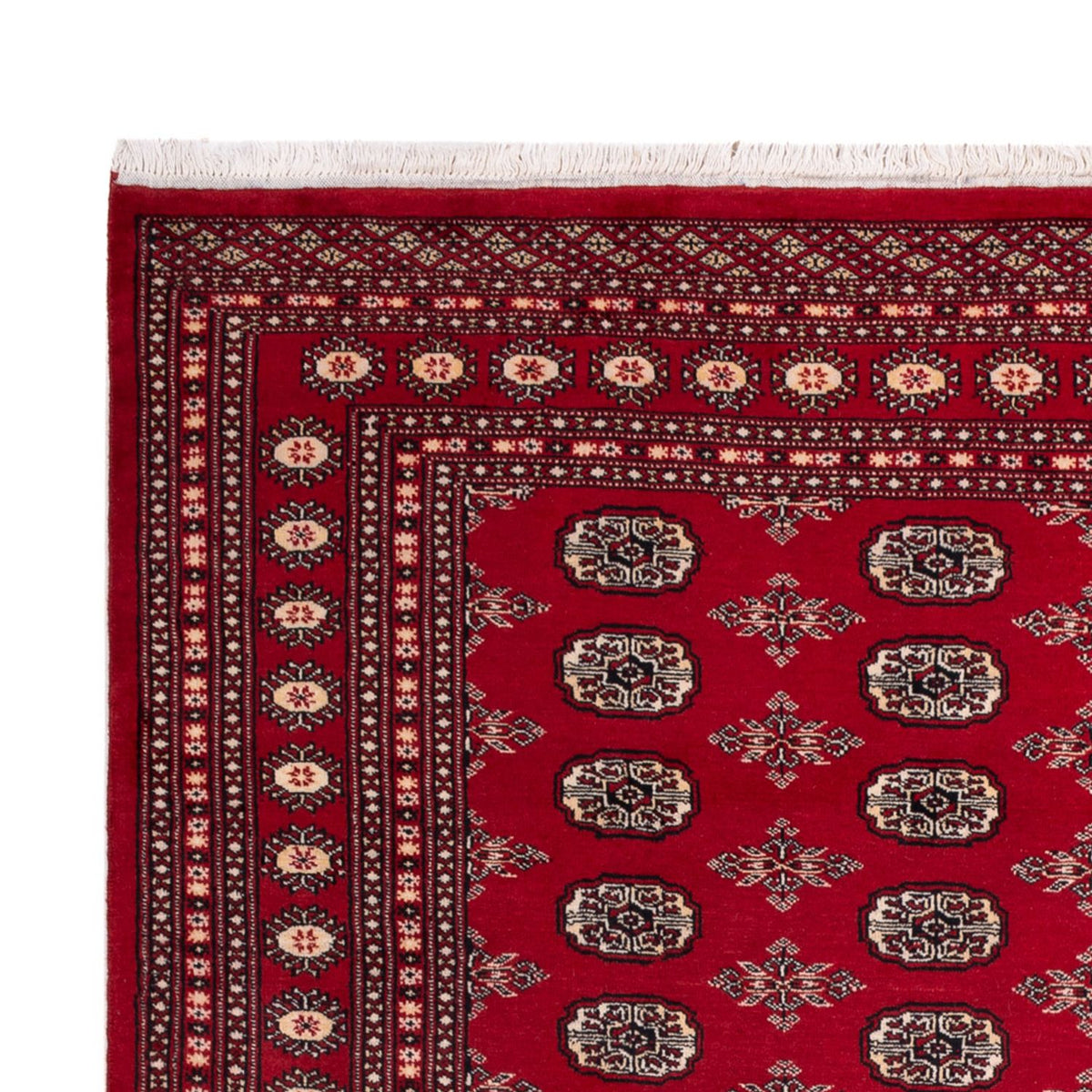 Tapis afghan - Boukhara - 297 x 213 cm - rouge