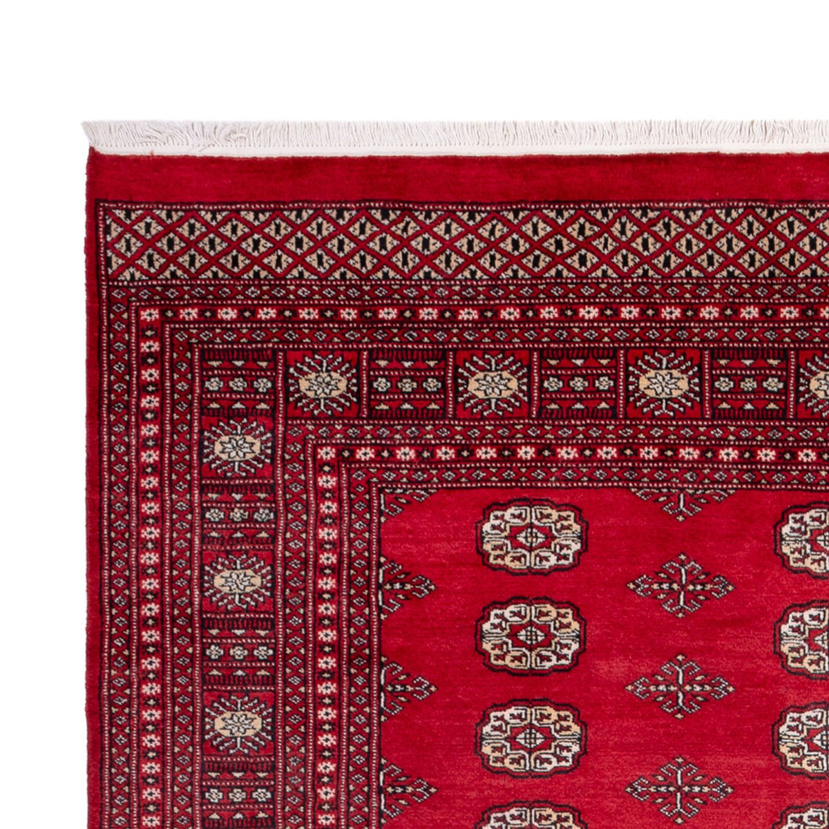 Tapis afghan - Boukhara - 306 x 197 cm - rouge