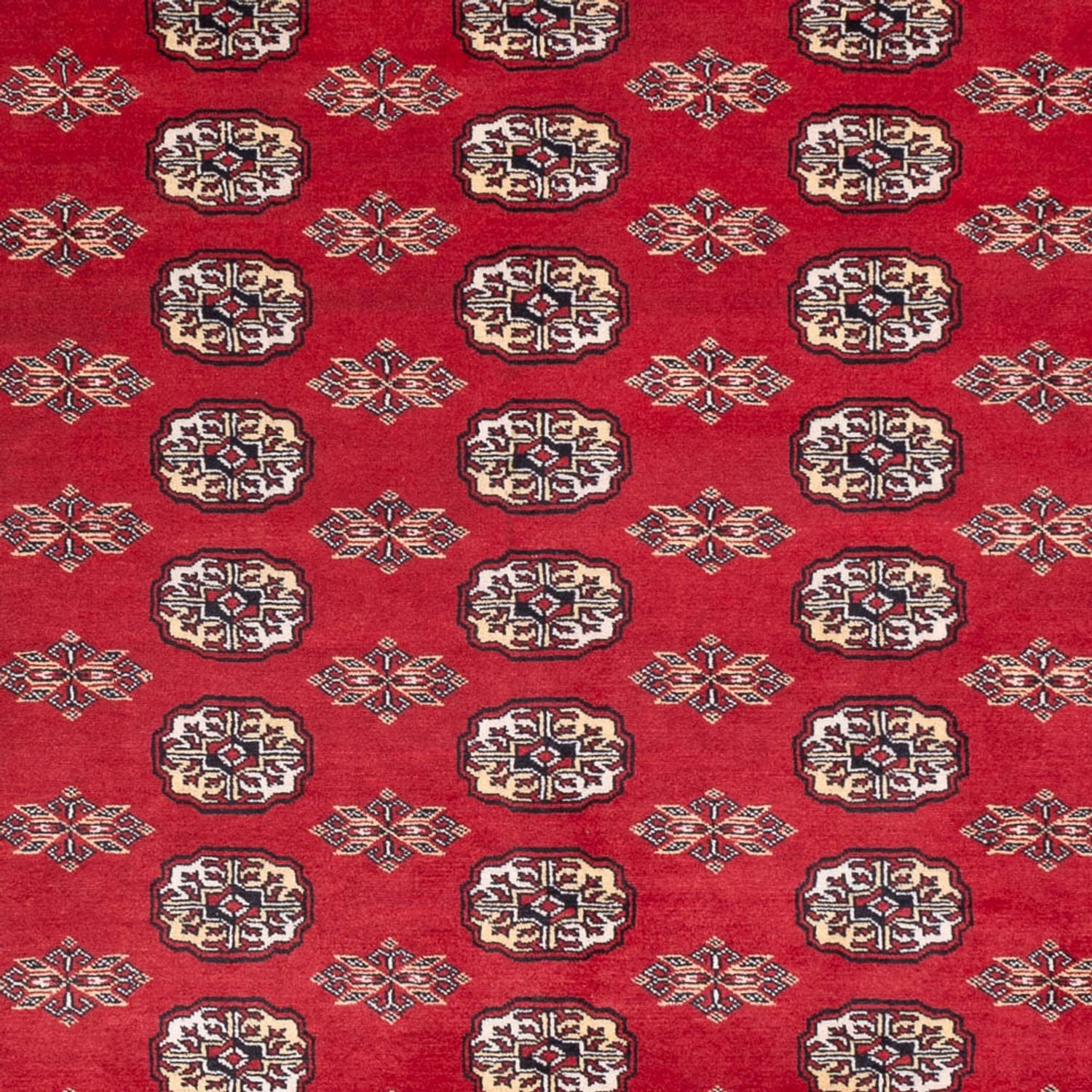 Afghan Teppich - Buchara - 307 x 247 cm - rot
