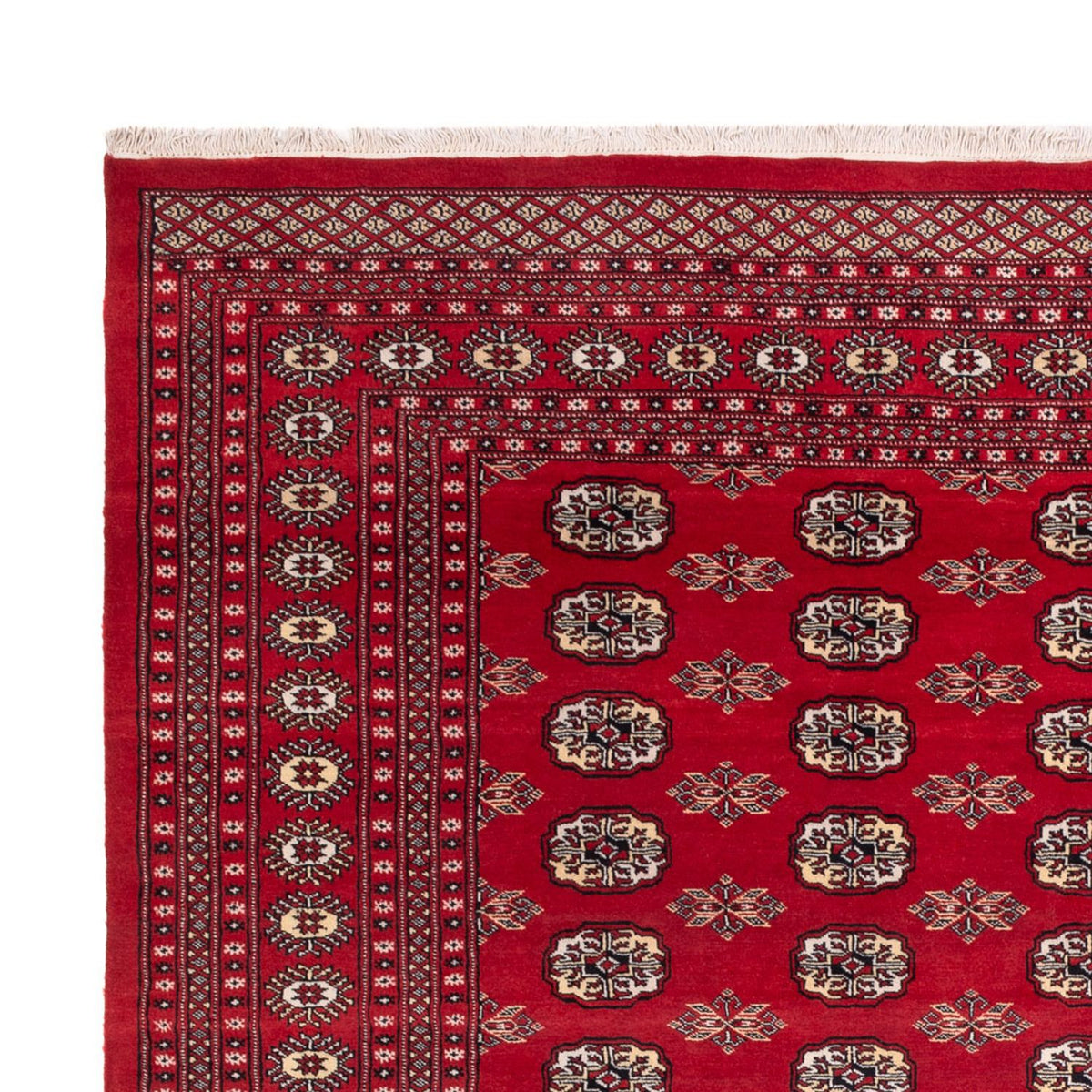 Tapis afghan - Boukhara - 307 x 247 cm - rouge