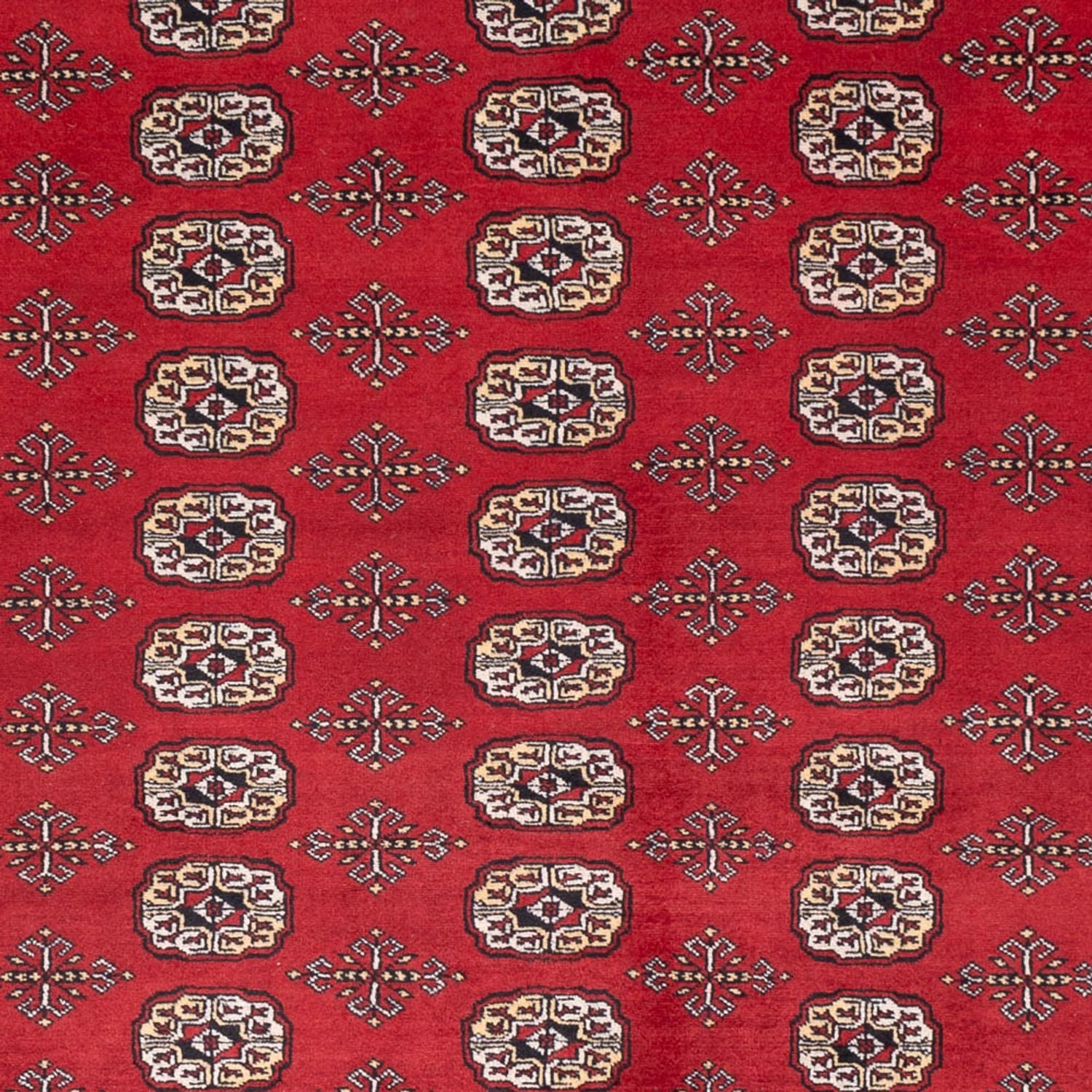 Afghan Teppich - Buchara - 298 x 243 cm - rot