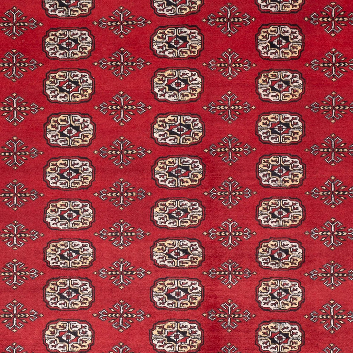 Tapis afghan - Boukhara - 298 x 243 cm - rouge