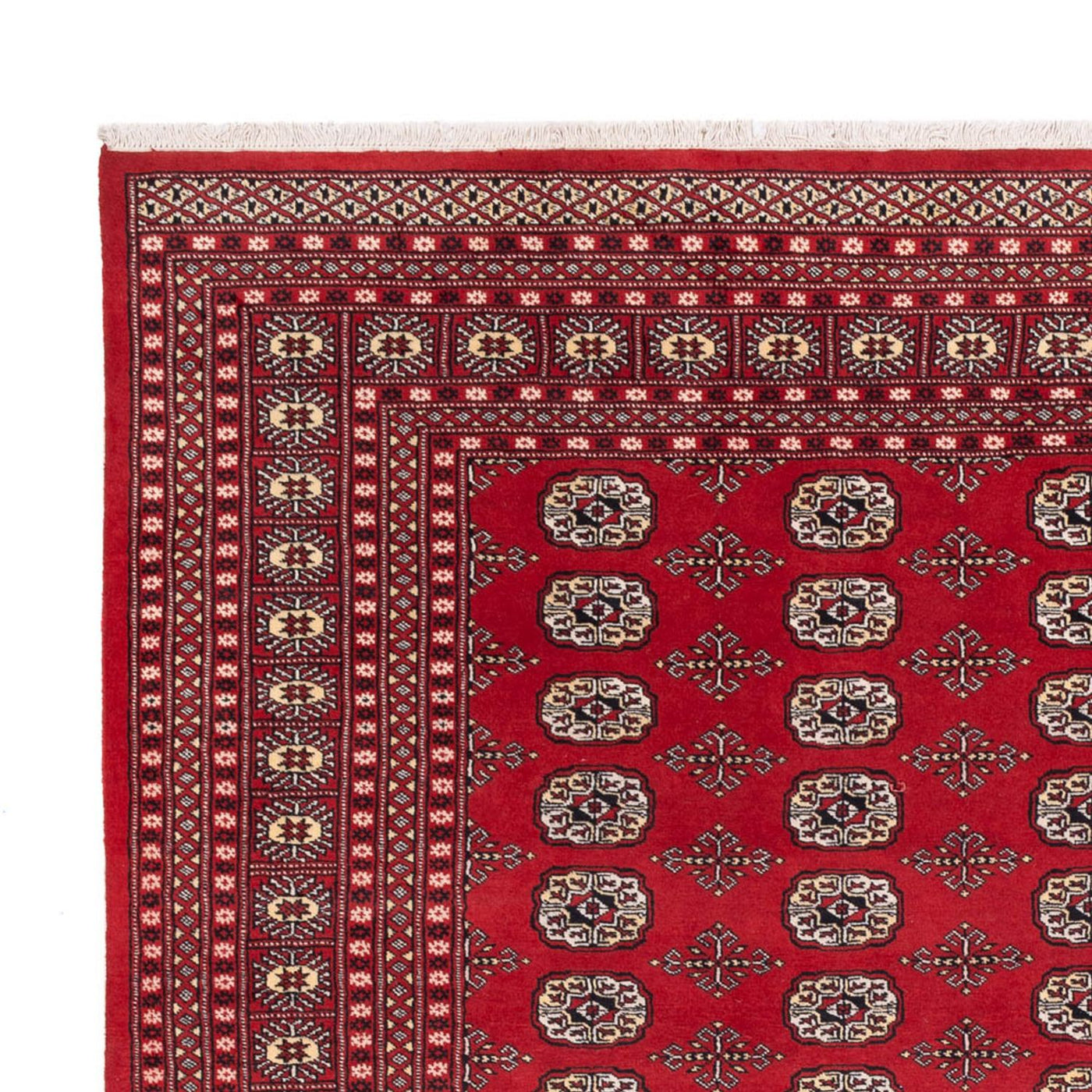 Tapis de Boukhara Tapis 298x243cm - Tapis oriental