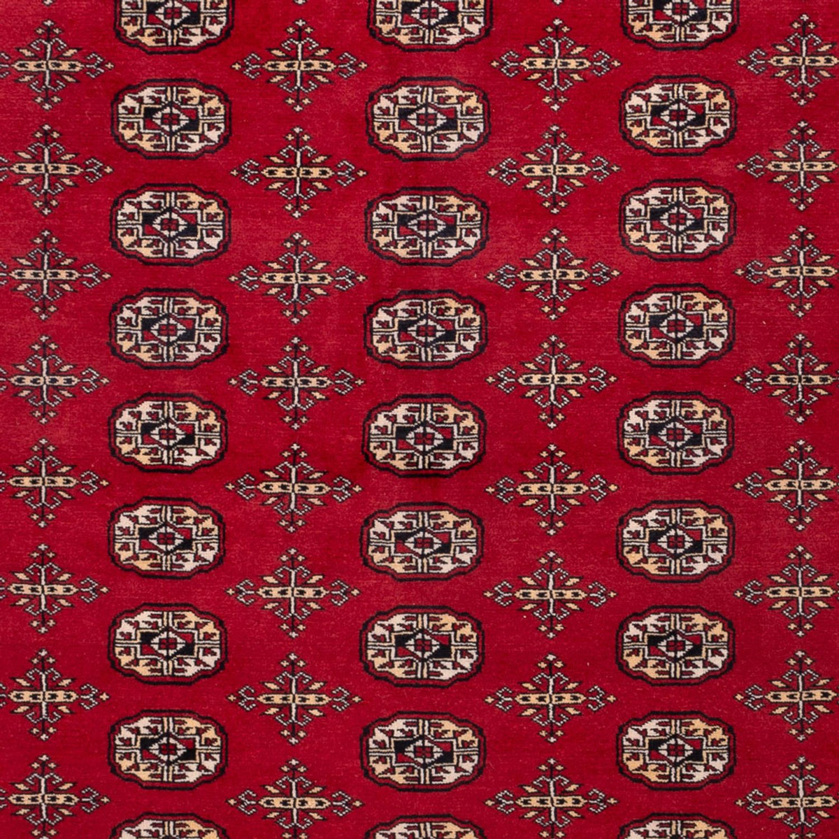 Tapis afghan - Boukhara - 308 x 243 cm - rouge