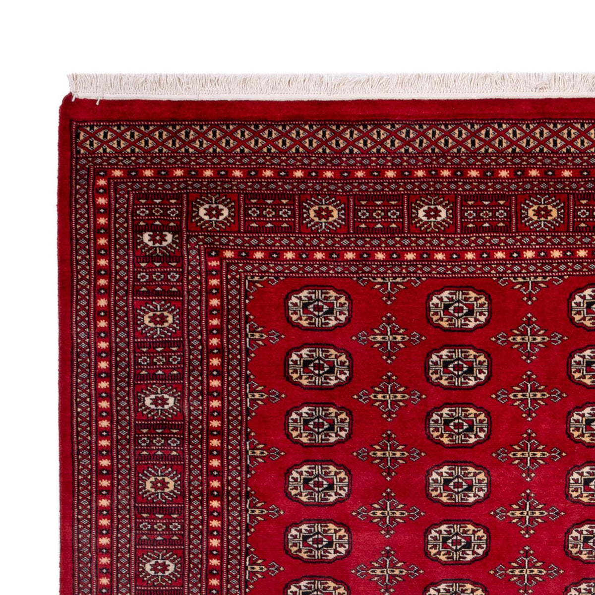 Tapis afghan - Boukhara - 308 x 243 cm - rouge