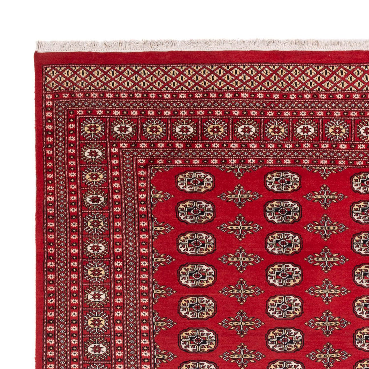 Tapis afghan - Boukhara - 312 x 244 cm - rouge