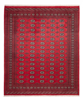 Tapis afghan - Boukhara - 305 x 246 cm - rouge