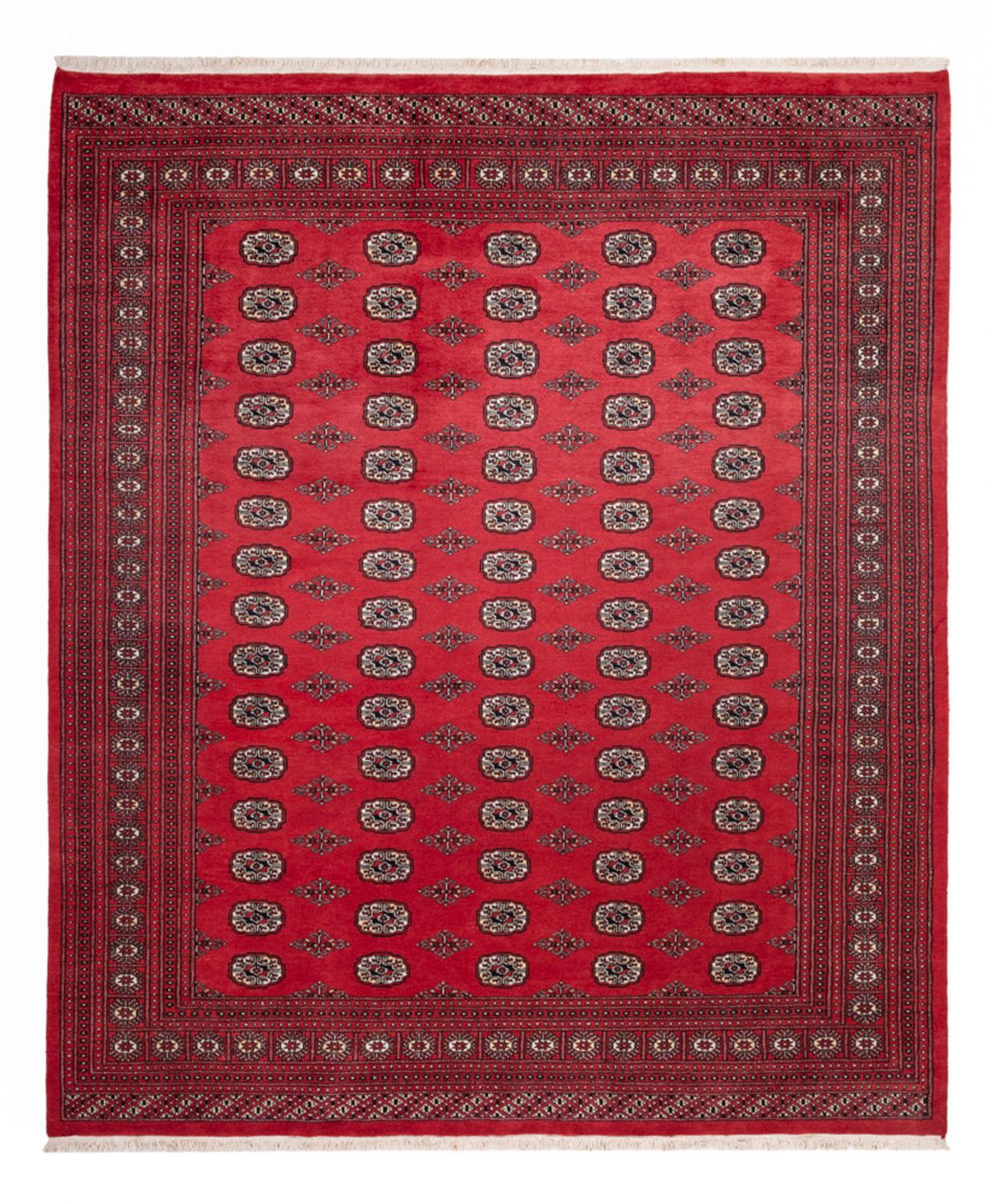 Tapis afghan - Boukhara - 305 x 246 cm - rouge