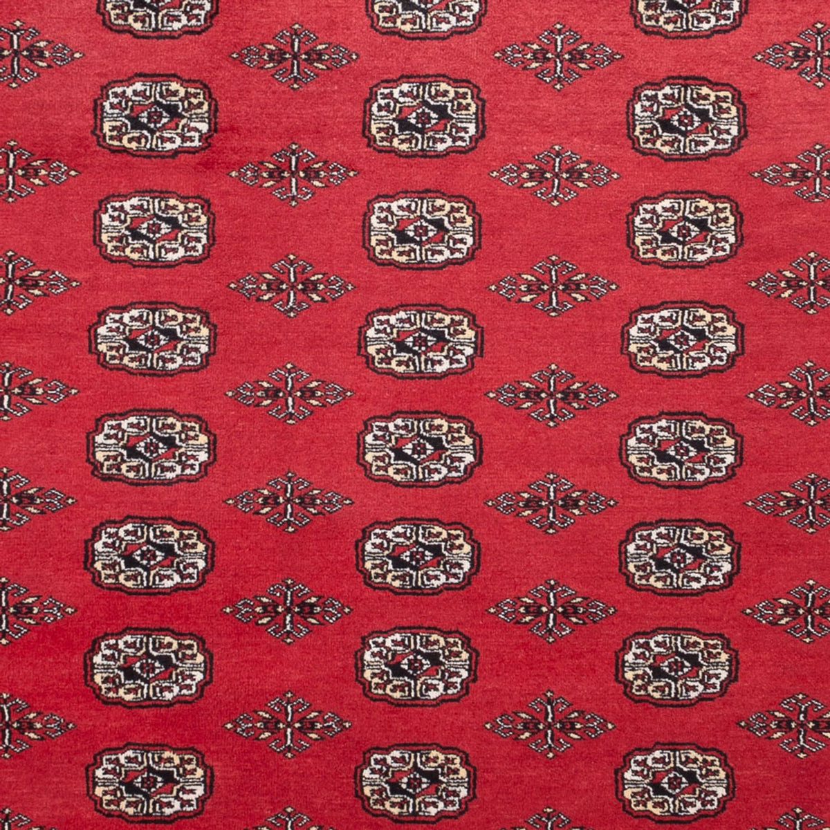 Tapis afghan - Boukhara - 305 x 246 cm - rouge