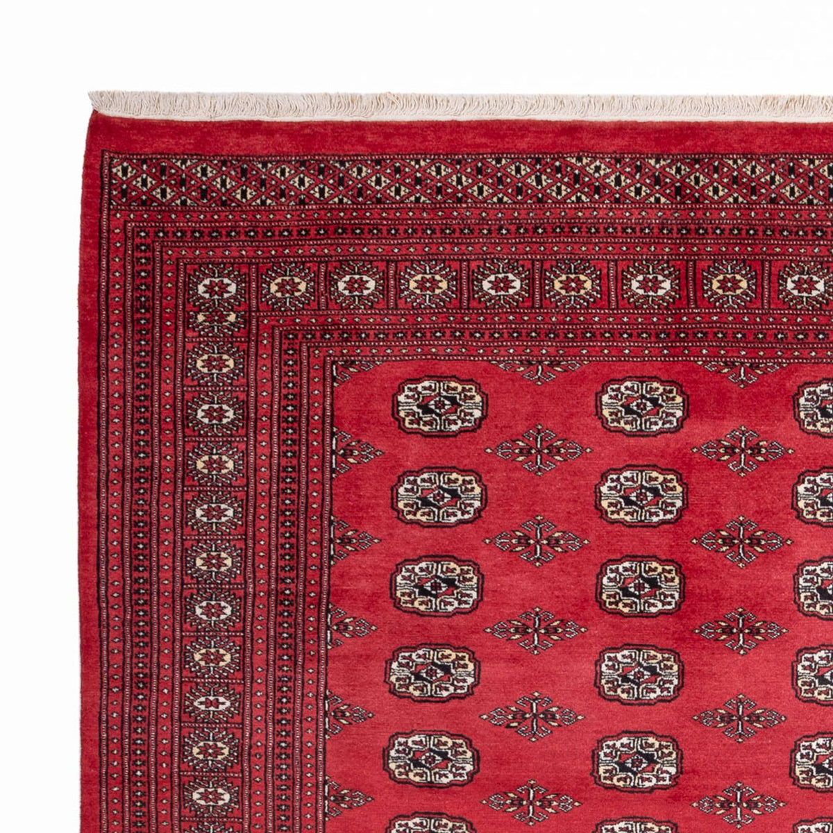 Tapis afghan - Boukhara - 305 x 246 cm - rouge