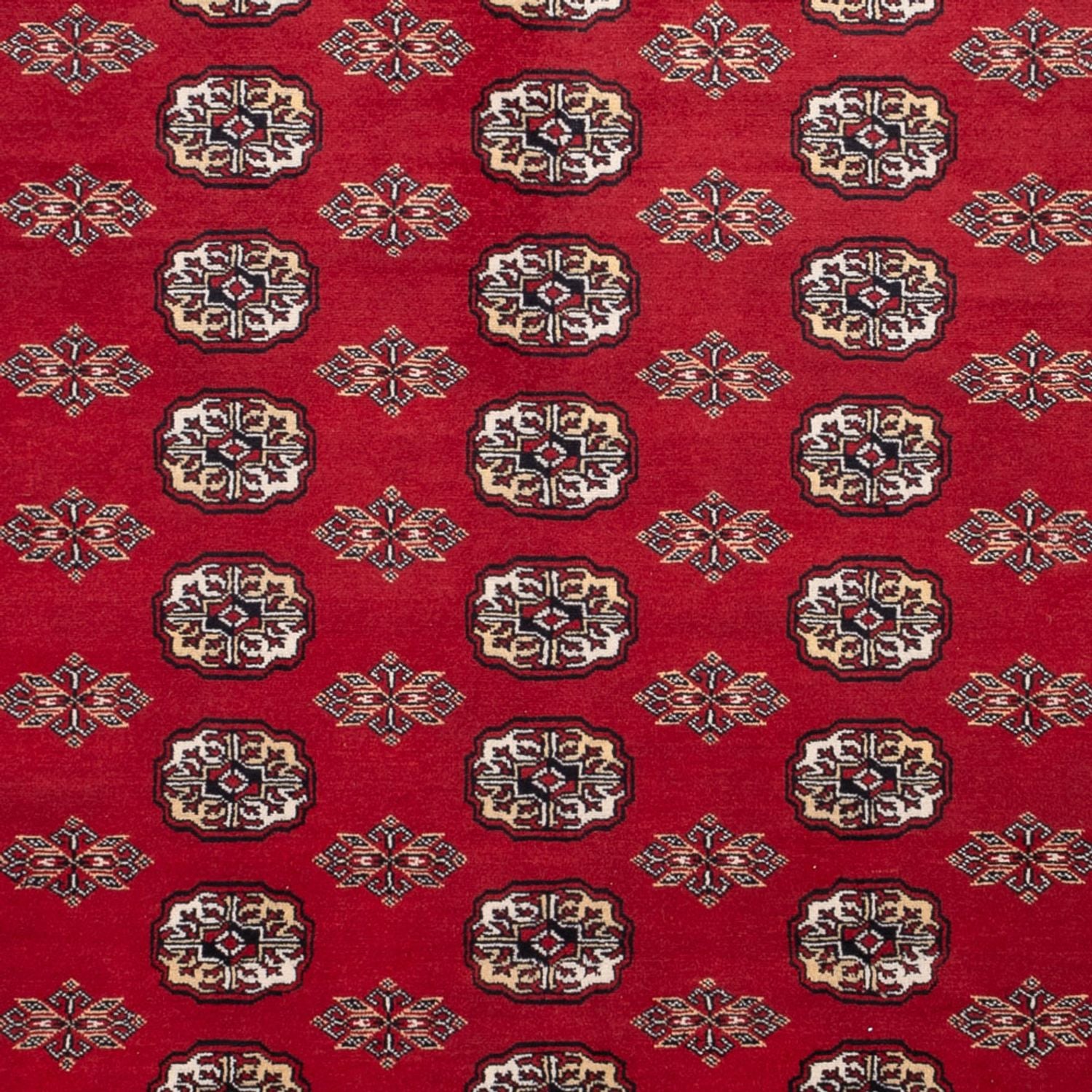 Afghan Teppich - Buchara - 301 x 245 cm - rot