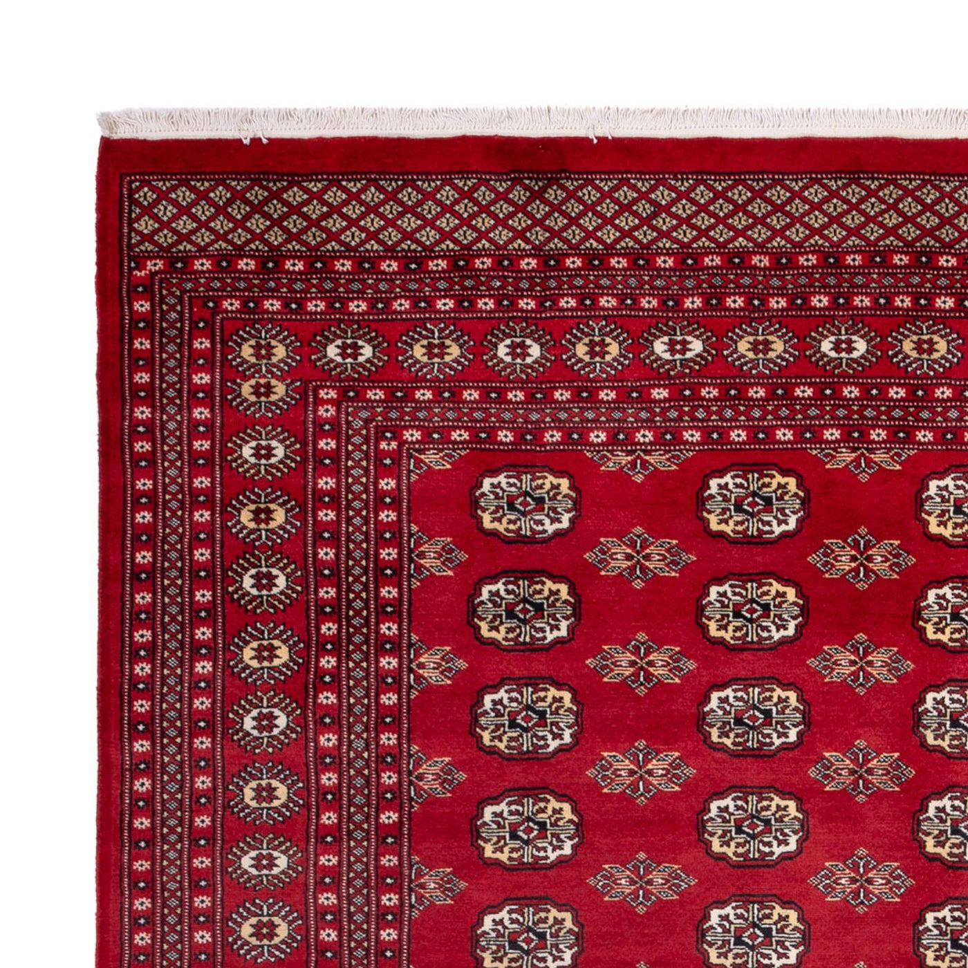 Tapis de Boukhara Tapis 301x245cm - Tapis oriental