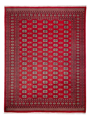 Tapis afghan - Boukhara - 314 x 243 cm - rouge
