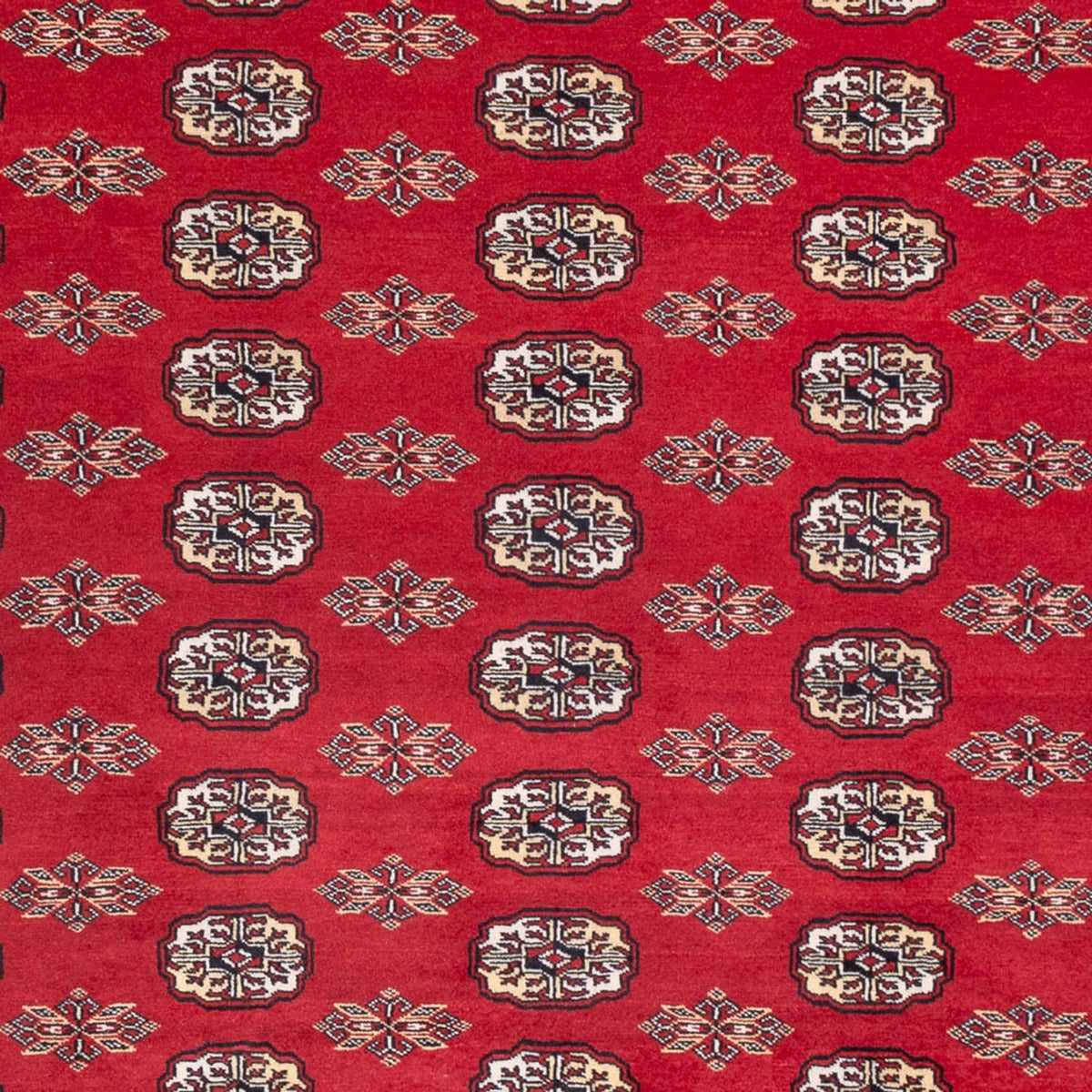 Tapis afghan - Boukhara - 314 x 243 cm - rouge