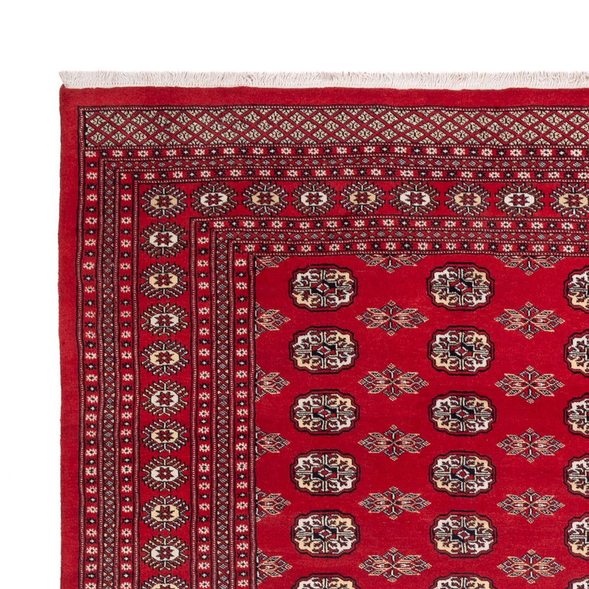 Tapis afghan - Boukhara - 314 x 243 cm - rouge