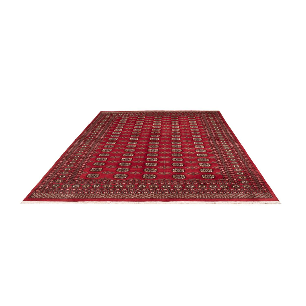 Tapis afghan - Boukhara - 314 x 243 cm - rouge