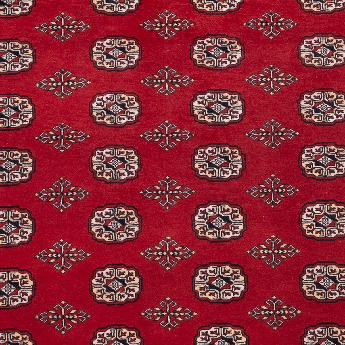 Tapis afghan - Boukhara - 290 x 200 cm - rouge