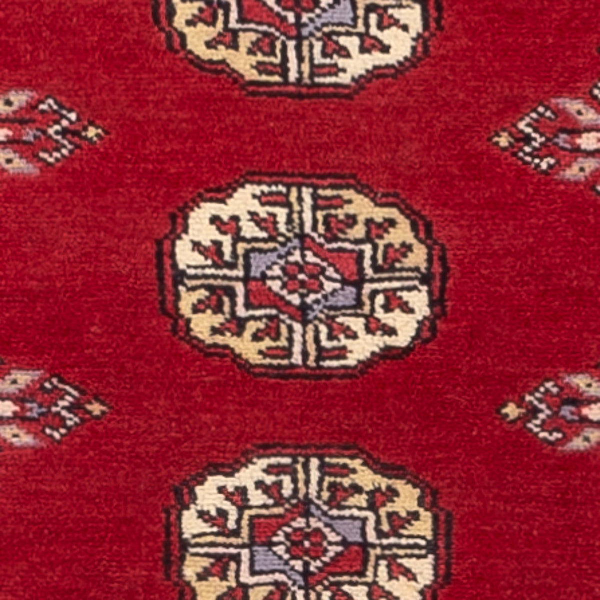 Tapis de couloir Tapis Pakistani - 246 x 77 cm - rouge