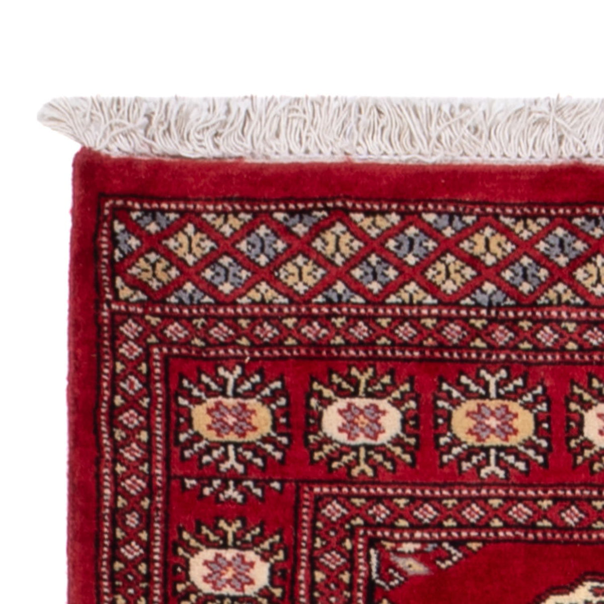 Tapis de couloir Tapis Pakistani - 246 x 77 cm - rouge